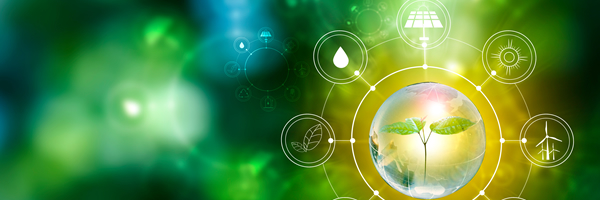 My Account Dashboard